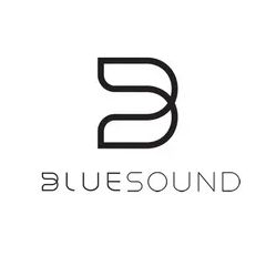 Bluesound Pulse Soundbar+:   Dolby Atmos