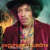    Jimi Hendrix - Experience Hendrix - The Best Of Jimi Hendrix (2LP)  
