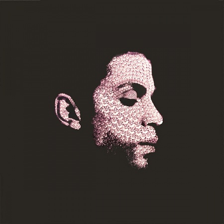    Various - The Many Faces Of Prince (A Journey Through The Inner World Of Prince) (2LP)         
