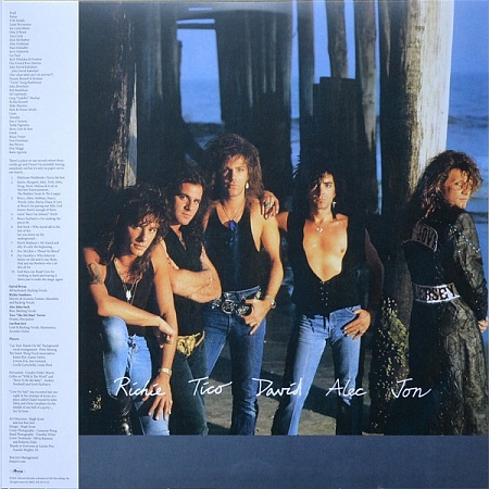    Bon Jovi - New Jersey (2LP)         