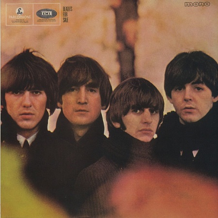    The Beatles  The Beatles In Mono (Box)      
