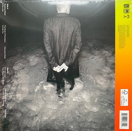    Sting -The Bridge (LP)         